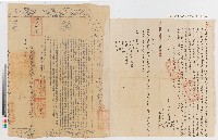 藏品(鄭廷壹、鄭廷統、鄭廷興向蘇宅立賣杜絕契（附契尾）)的圖片